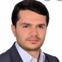 Dr. Hamidreza Nouralizadeh