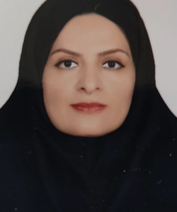 Hamideh Tavakolianfarahani