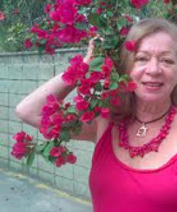 psychologist susana castillo