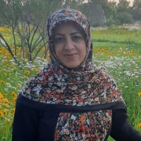 Fatemeh Ranjbarfar