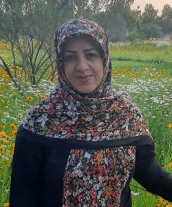 Fatemeh Ranjbarfar