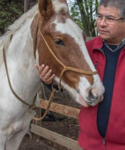 PNL Y NEUROCIENCIA APLICADA José Javier Texeira Nuñez