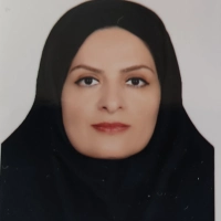 Hamideh Tavakolianfarahani