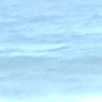 Frau Nermina Hanjalić